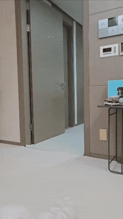 '반복재생 아님'…무한 공놀이에 심취한 소망이(보호자 제공) ⓒ 뉴스1