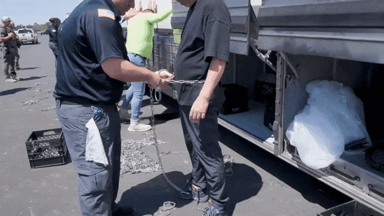 미국 이민 단속 당국이 지난 4일(현지시각) 조지아주 현대차그룹-LG에너지솔루션의 합작 배터리 공장 건설현장에서 한국인 수백명을 구금했다./ICE 홈페이지