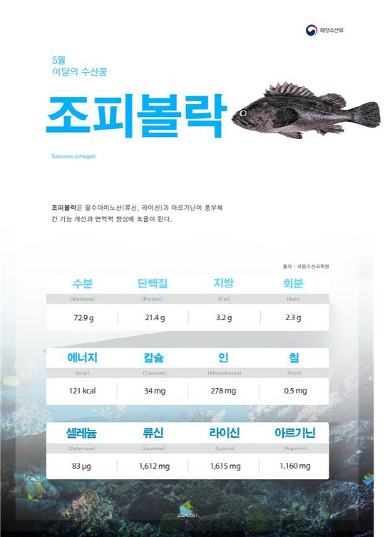 충남, 횟감·매운탕 '조피볼락' 가장 많이 키운다