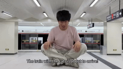 중국의 인플루언서 싱즈레이가 자신의 유튜브 채널에 '고양이들을 위해 서브웨이를 만들었다'는 제목으로 올린 영상. /영상=유튜브 'Xing's world' 캡처