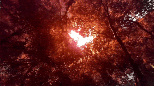 (출처=연합뉴스)