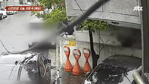 /영상=사건반장