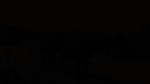 지난달 19일 은퇴마 목장에서 만난 주인공 잭슨이 모습. 이성훈 기자