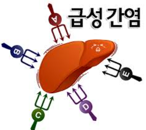 급성 간염과 만성 간염, 무엇이 다를까 | 몸건강연구소