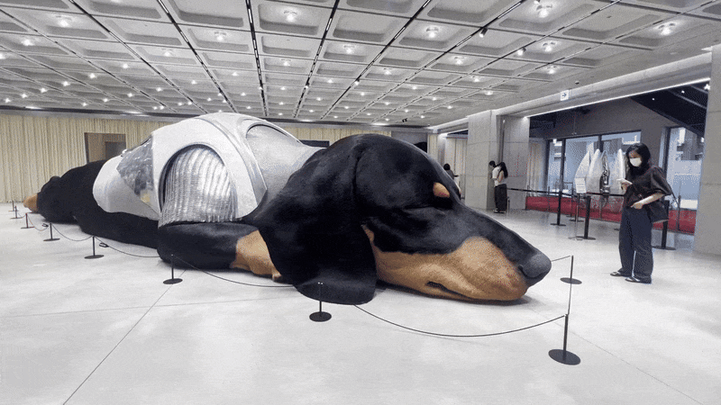 서울 성수동 아이아이컴바인드 신사옥 1층 '하우스 노웨어' 전경. /김은영 기자