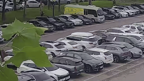 과천 서울대공원 차량털이범 범행 당시 모습. 과천경찰서 제공