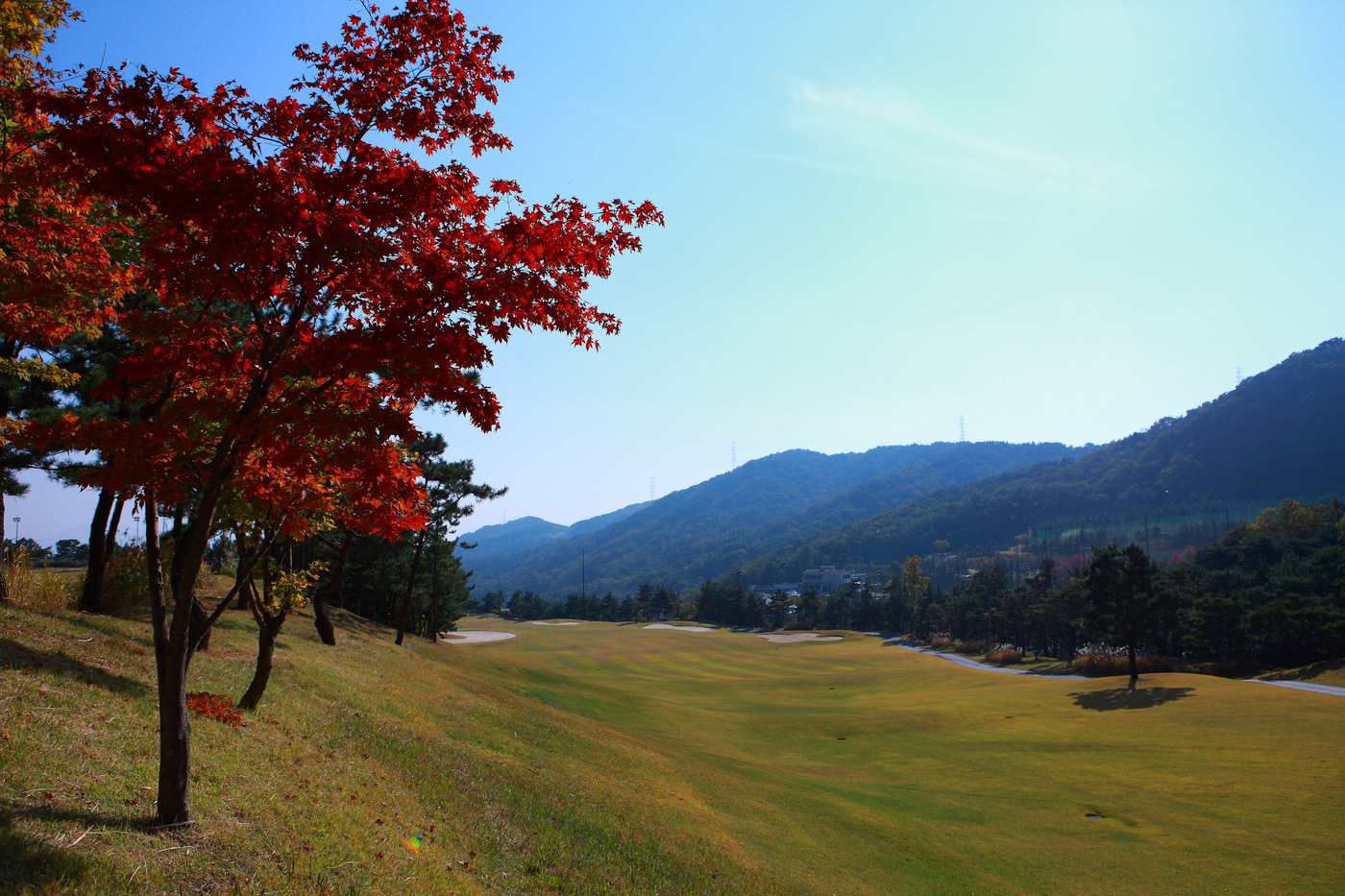 국내 골프장 62곳, 추석 연휴 10월 5~7일 정상 운영