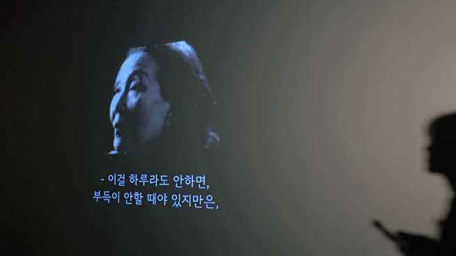 [사진=박현주 미술전문기자] 천경자 영상 *재판매 및 DB 금지