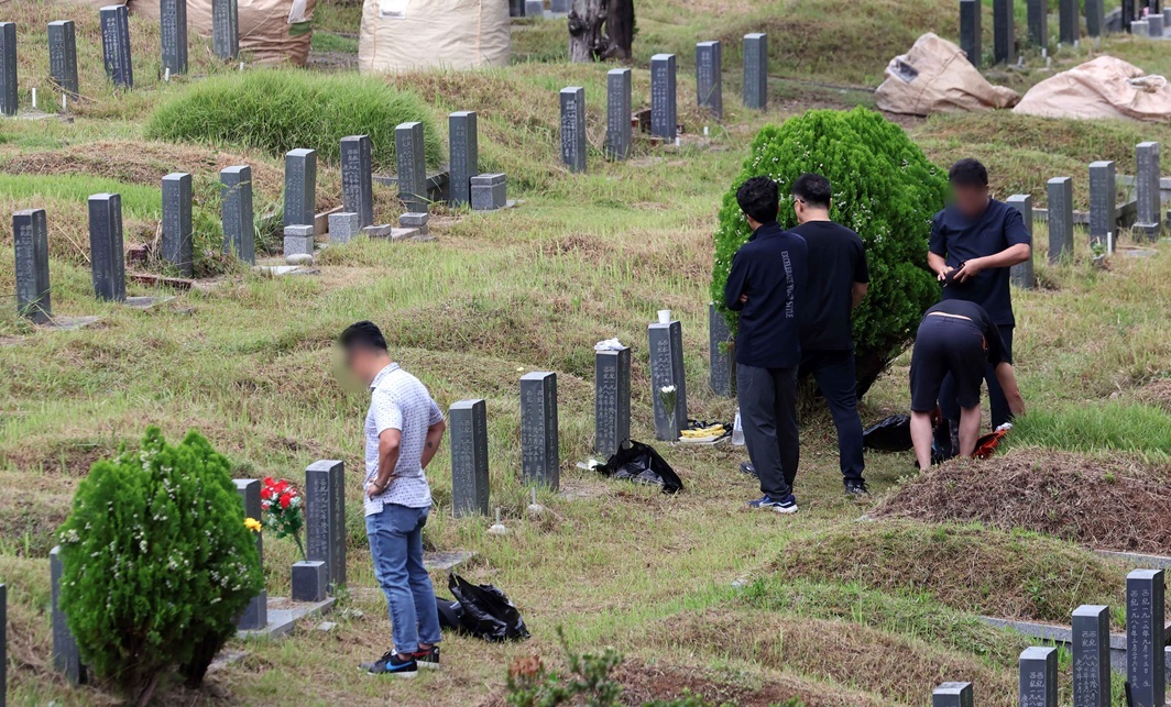과수원 대표 사진