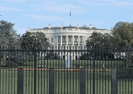 ‘영부인 하기 싫었던 멜라니아’, ‘힘들 때마다 보는 트럼프 영부인 짤’