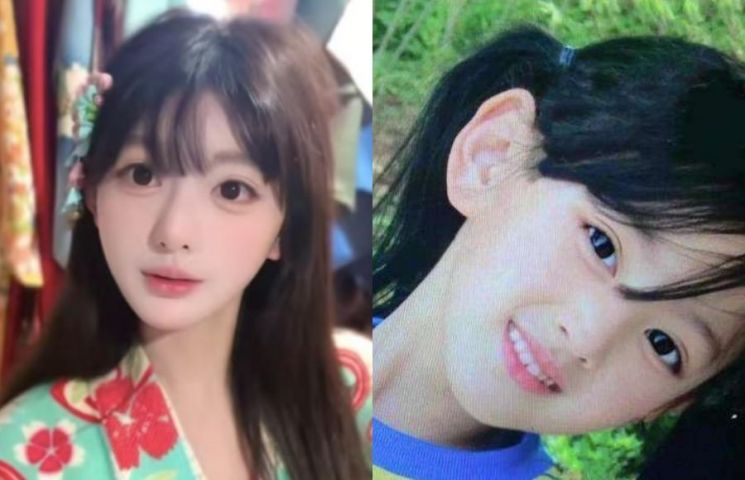 중국 인플루언서 후신이. 웨이보