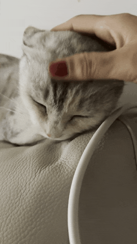 사람을 좋아하는 루나(인스타그램 eve__mom 제공) ⓒ 뉴스1