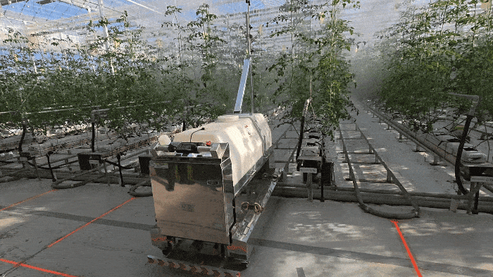 전북 익산 '월화수목금토마토' 농장 내 토마토 온실에서 방제로봇이 레일 위를 따라 이동하며 작물 사이를 분사하고 있다.(사진=박효주 기자)