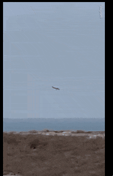 지난해 12월 25일 오전 아제르바이잔 수도 바쿠를 출발해 러시아 연방인 체첸공화국의 그로즈니로 가던 아제르바이잔 항공 J2 8343편 여객기가 카자흐스탄 서부 악타우시 인근에서 추락해 최소 38명이 사망했다