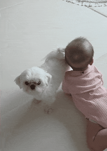 항상 아기 곁을 지키는 반려견 이삭이(인스타그램 rlfrnfma 제공) ⓒ 뉴스1