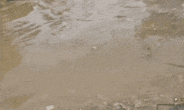 [온라인 커뮤니티]