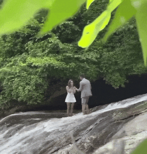 [엑스(X·옛 트위터)]