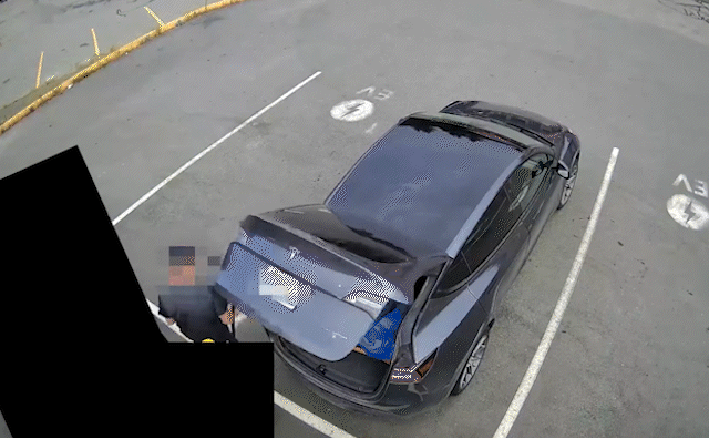 테크니컬 세이프티 BC(Technical Safety BC) 유튜브 영상 캡처