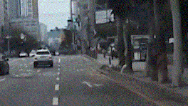 지난 6월13일 오후 인천시 부평구 부평동의 한 거리에서 무면허 상태로 전동킥보드를 타던 남학생들이 경찰의 제지에 넘어진 모습. SBS 보도화면 캡처