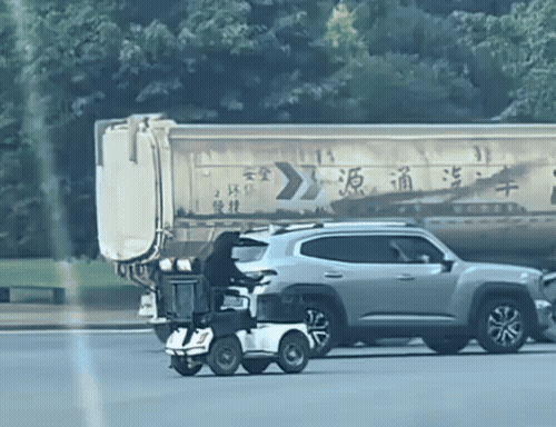 중국 쓰촨성 메이산시 도로를 달리는 ‘천재견’ 완쯔의 모습. 노인용 이동보행차를 개조한 전동 스쿠터를 앞발로 조종하며 주행하고 있다. 사진=더우인(抖音) 캡처