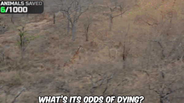 (미스터 비스트 유튜브 영상 갈무리)