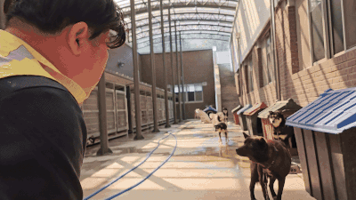 뚱아저씨는 사비를 들여 구조에 따른 책임비용을 댔고, 그 덕분에 오공이는 안락사를 피해 뚱아저씨가 속한 구조단체 팅커벨프로젝트의 보호소에 입소할 수 있었다. 전병준 기자