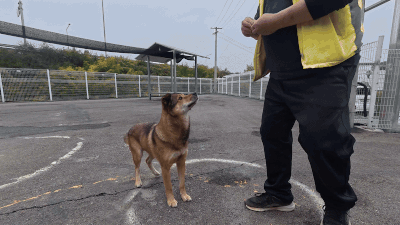 중학생 박소율(14)양은 오공이를 2년째 꾸준히 찾아와 교감을 나누는 단짝 같은 존재이다. 전병준 기자
