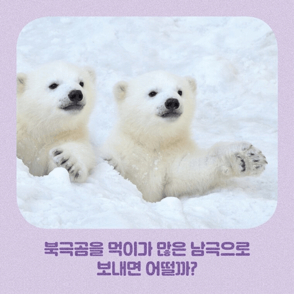 [신간] '지구가 더워져서 판다가 많이 아파'