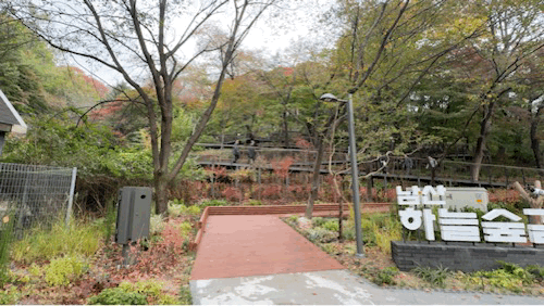 가을 단풍이 물든 ‘남산 하늘숲길’ 초입을 시민들이 걷고 있다. 2025.10.31/뉴스1 ⓒ News1 한지명 기자