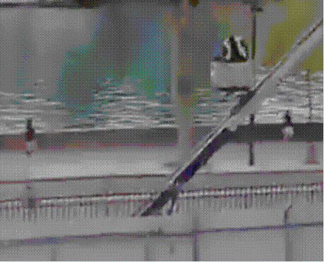 검은 옷을 입은 두 남자가 파리 루브르 박물관에서 범행 뒤 사다리차를 타고 유유히 내려오는 모습. [X캡처]