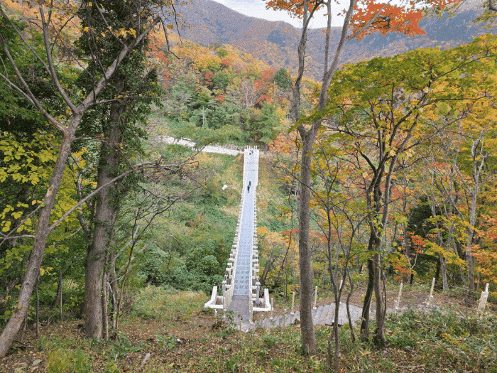 울릉군이 사업비  34억 원을 들여 만든 새로운 이정표가 될 ;울렁다;리 가  8일개통됐다.[울릉군 제공]
