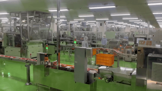 농심 구미공장에서 포장을 마친 신라면 제품이 생산 라인을 따라 이동하고 있다. 노현영 기자