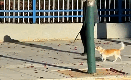 유튜브 영상 캡처