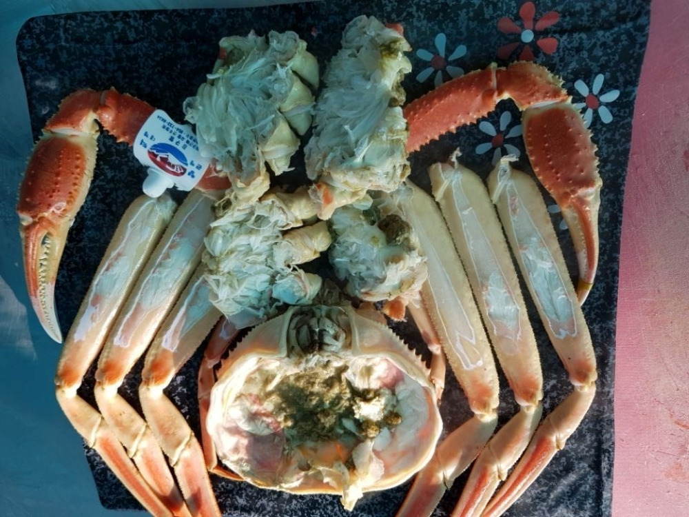 생생정보 울진 대게 맛집 식당 가격 위치 택배 주문 택시맛객 | 생활톡톡