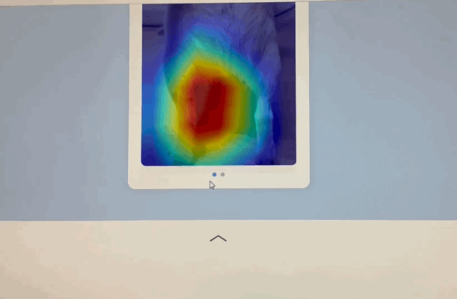 박주용 십일리터 CTO가 자사의 반려동물 질환 AI 진단 솔루션을 설명하는 모습. [사진=권서아 기자]