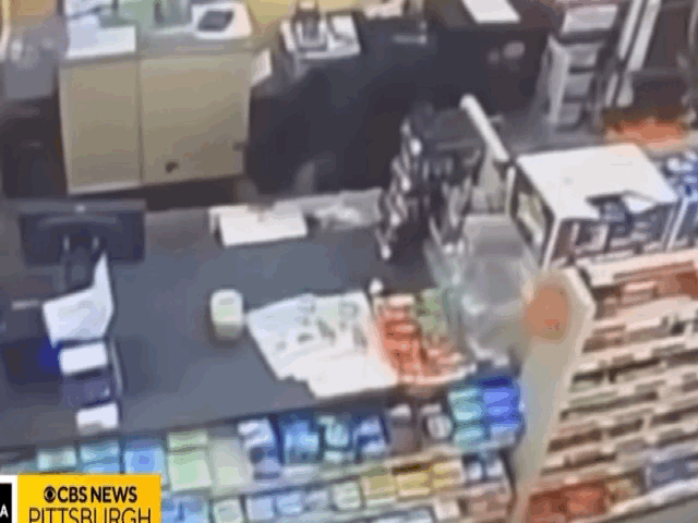 미국 펜실베이니아주에서 11살 소년을 쫓아 달러스토어 안까지 뛰어든 흑곰의 아찔한 장면이 카메라에 고스란히 포착됐다.2025.11.20(사진=CBS캡처) *재판매 및 DB 금지