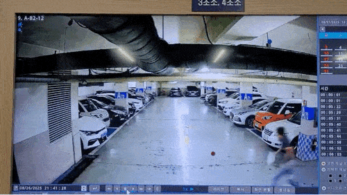 지난 7월 인천 부평구 한 아파트 지하 주차장에서 30대 중국 귀화 남성 A씨가 60대 남성 C씨를 살해하려하고 있다. [영상=인천지검]