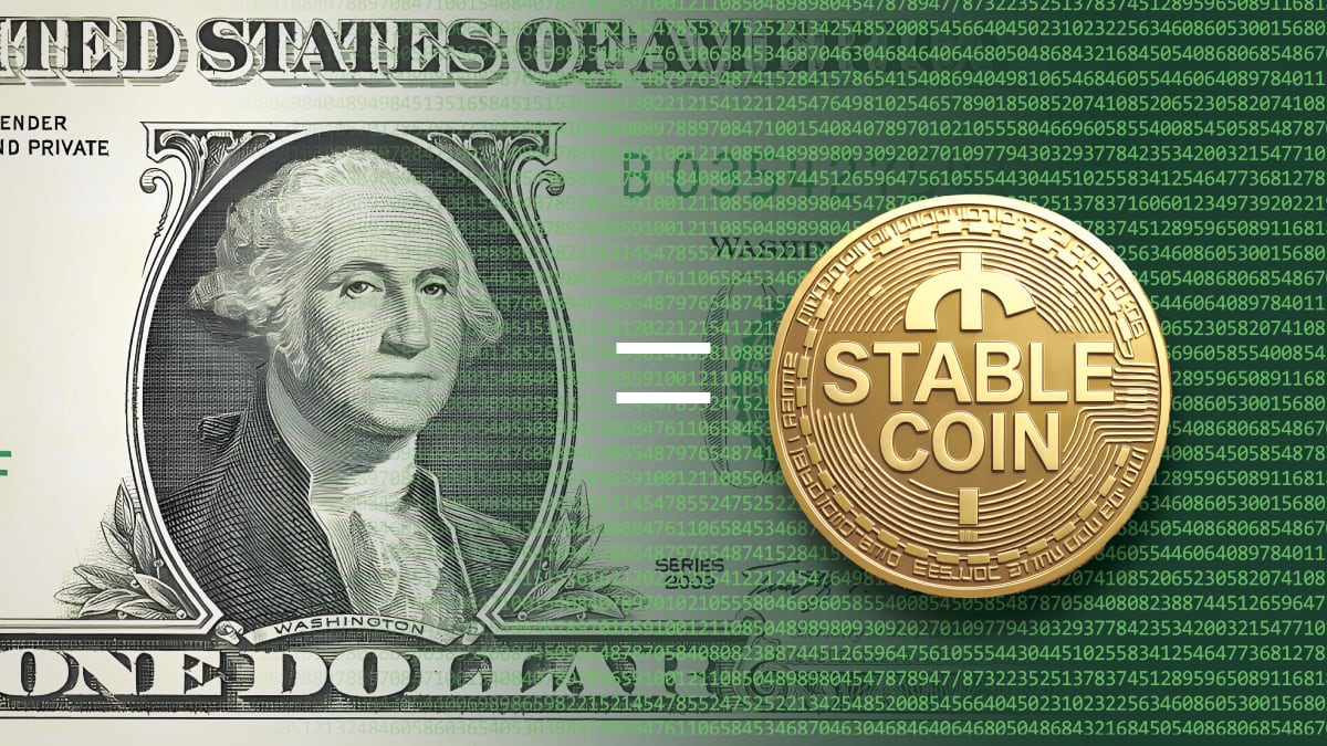 테더 달라 (84) 사진