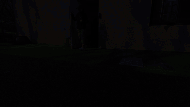 지난 19일 경기도 여주의 도립 동물보호시설 반려마루에서 만난 예랑이와 윤지. 전병준 기자