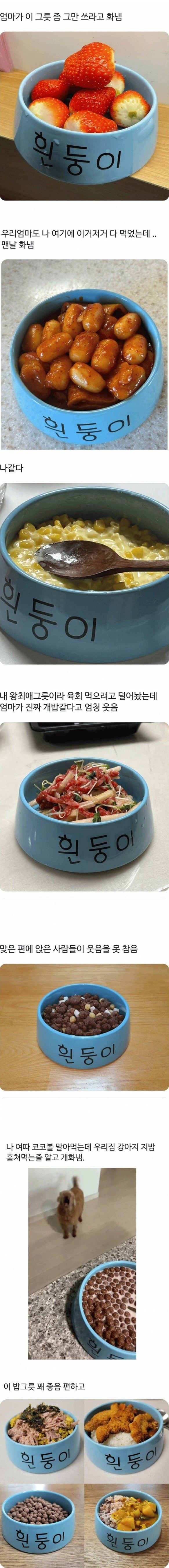 부모 속터지는 자식 밥그릇 | 인스티즈