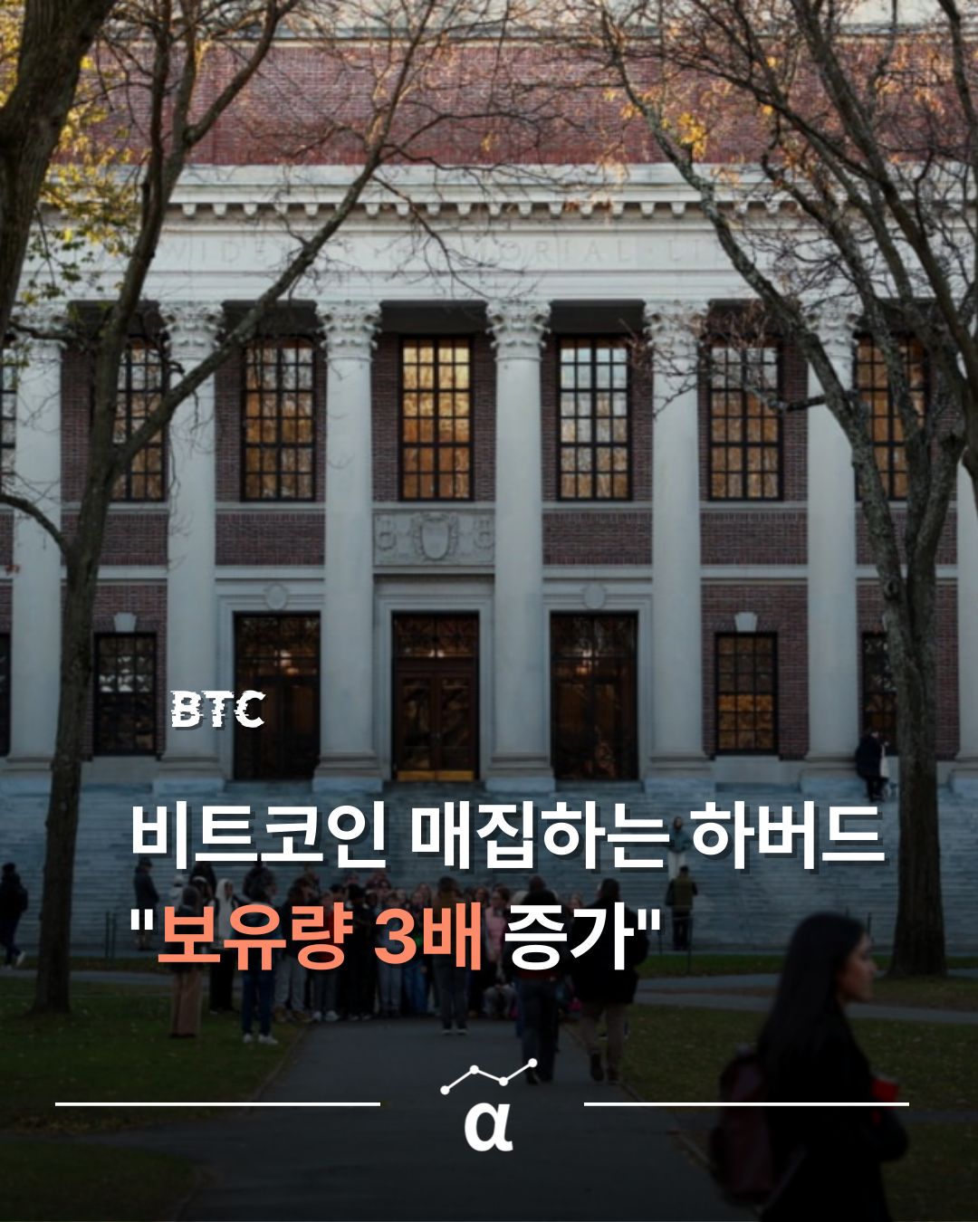 비트코인 급락할 때 하버드는 보유량 3배 증가... 열심히 매집 중 | 알파스퀘어