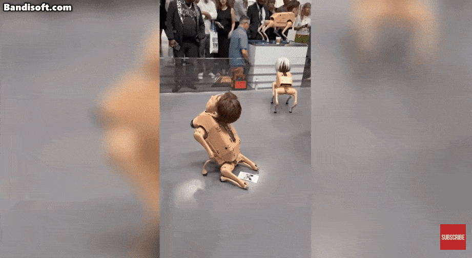 ‘머스크·베이조스 등’ 유명인 얼굴로 만든 ‘로봇개’가 7일(현지시간) 미 플로리다주에서 열리는 아트 페어에 전시돼 있다. [뉴욕포스트]