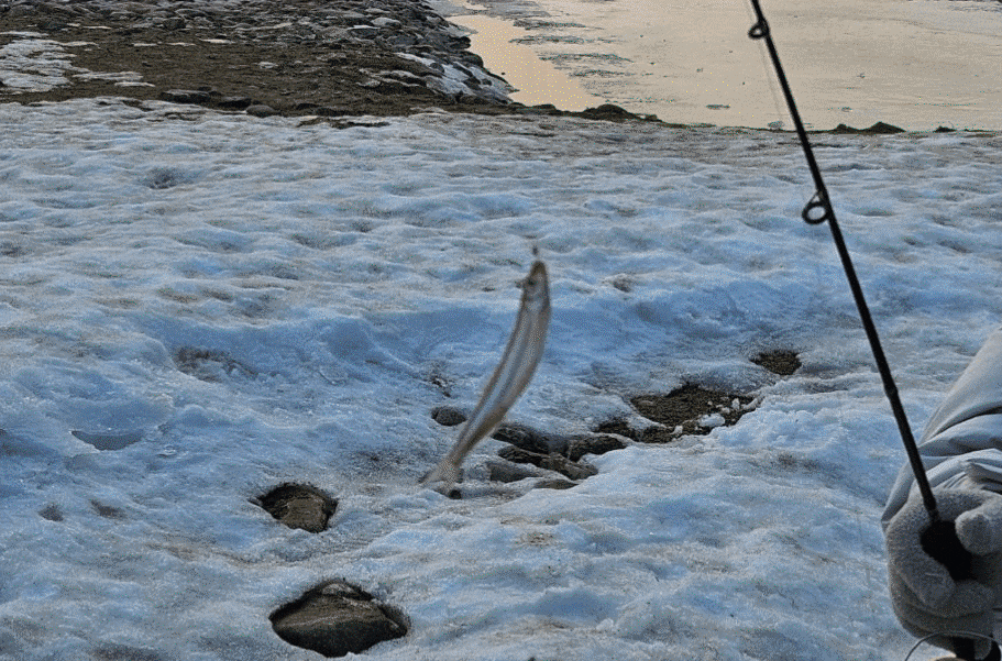 양평빙송어축제. /수미마을 홈페이지