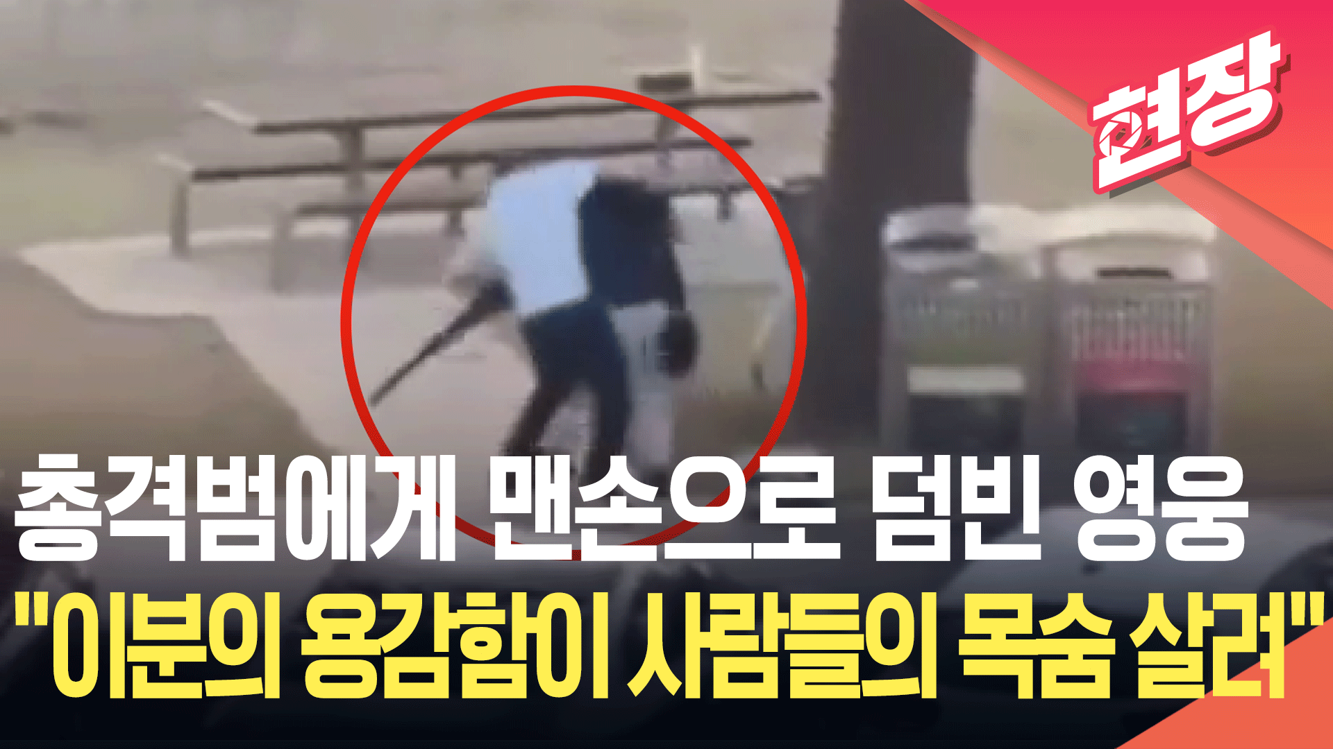 호주 총격범 맨손으로 제압한 시민 영웅…두 아이 아빠 43세 아흐메드 [현장영상]