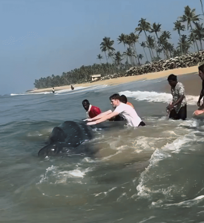 영상=@surferboy_varkala