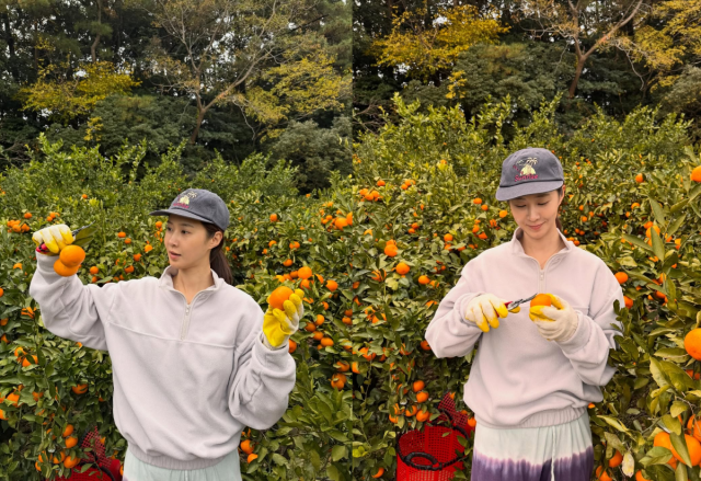 노란 수영복에 섹시한 몸매 어필하는 존예 처자