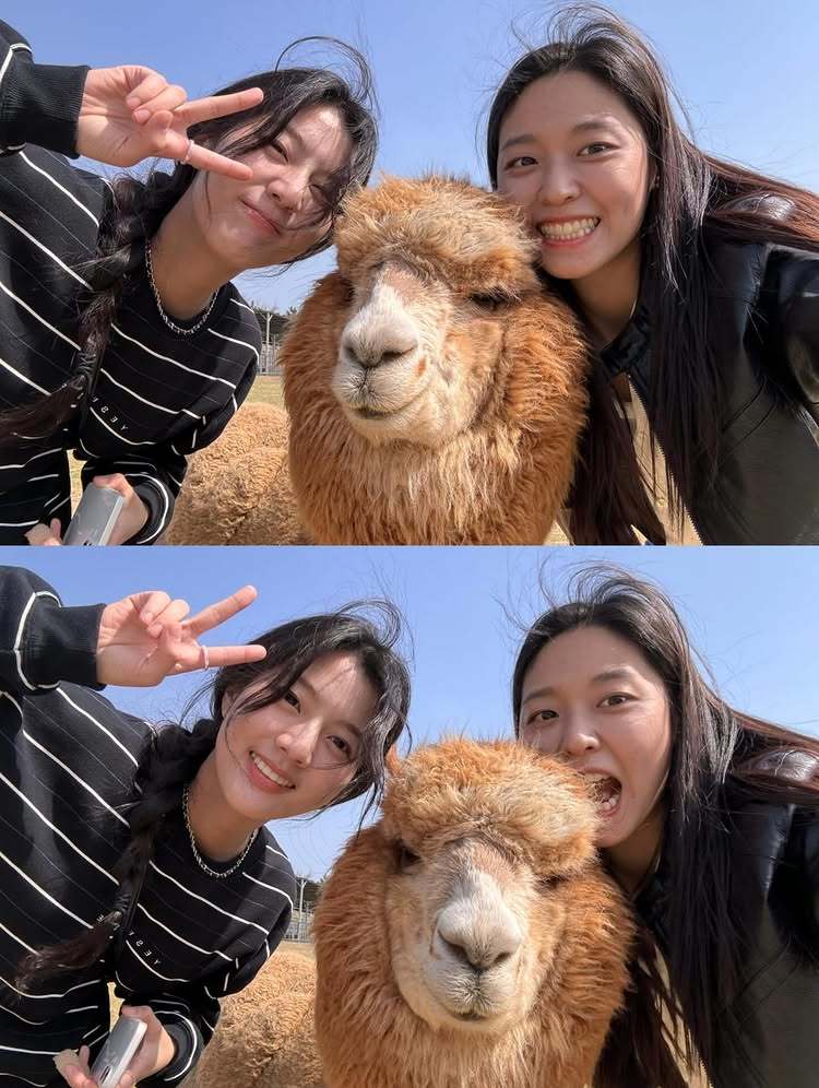 노란 수영복에 섹시한 몸매 어필하는 존예 처자