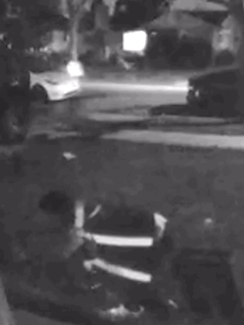 [서울=뉴시스] 미국 LA의 한 가정에서 택배기사가 반려묘를 쓰다듬다가 들어올려 현장을 떠나는 장면이 인근 CCTV에 촬영됐다. (사진출처: 더선 캡처) 2025.12.17.  *재판매 및 DB 금지