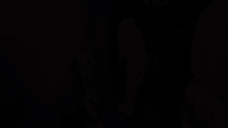 지난달 모습을 드러낸 문제의 애니멀호딩 현장 모습. 100평 남짓한 집 안에 개가 가득했다. 이성훈 기자