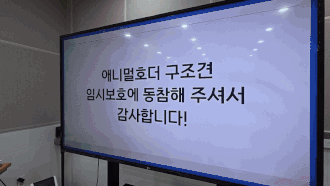 2주 임시보호를 마친 뒤 일부는 실내 생활에 적응해 가정견으로 견생역전에 성공했다. F5는 2주 임보 뒤 보호자가 입양을 결정해 현재 행복이라는 이름으로 살고 있다. M50 체스는 청년 임보자의 품에서 지내며 입양을 기다리고 있다. 전병준 기자